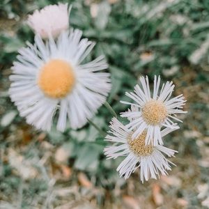 Meet your Posher, Kala